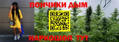 сатива Камышлов