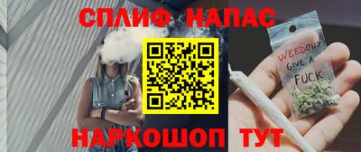сатива Камышлов