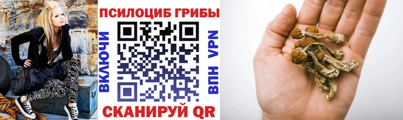 Псилоцибиновые грибы мухоморы  Отрадный 