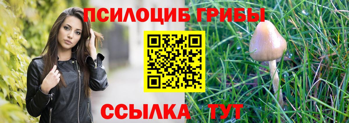 Псилоцибиновые грибы GOLDEN TEACHER  Вход с VPN  Отрадный  Псилоцибиновые грибы мицелий 