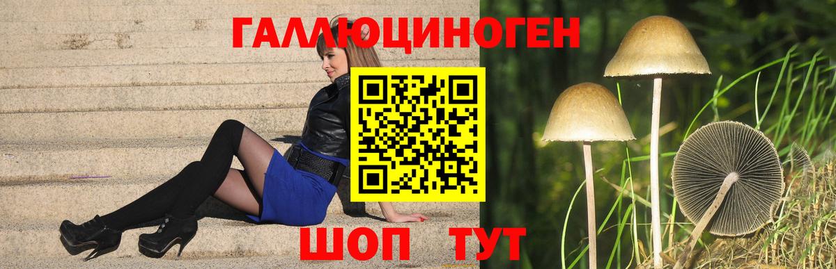 Псилоцибиновые грибы прущие грибы Отрадный